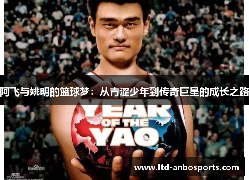 阿飞与姚明的篮球梦：从青涩少年到传奇巨星的成长之路
